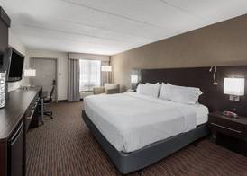 Holiday Inn SAINT LOUIS WEST AT SIX FLAGS by IHG 5