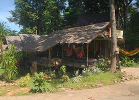 Jungle Garden 3