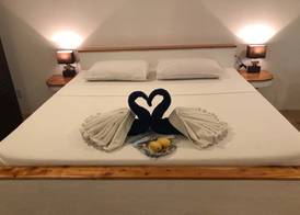 Parrot Resort Moalboal 4