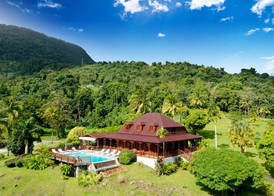 Jardin Malanga 5