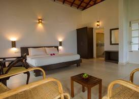 After the Rains - Rainforest Lodge, Wayanad 5