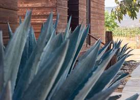 Casa Urbina Wine Resort 4
