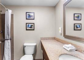 Comfort Inn & Suites Sikeston I-55 4