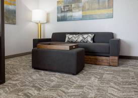 SpringHill Suites by Marriott Pleasanton 2
