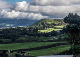Quinta Do Norte 4