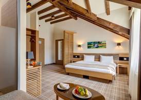Ana Hotels Sport Poiana Brasov 3