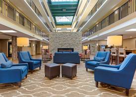 Comfort Suites Fredericksburg South 5
