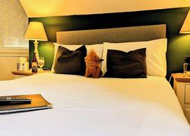 Ben Cruachan Inn - Restaurant, Pub with Rooms 4