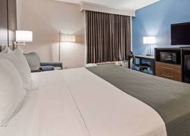 Best Western Ocala Park Centre 5