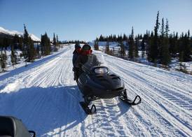 Denali Wild Stay 3