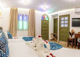 Riad Hamdane Rooftop & SPA 4
