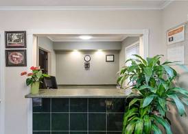 Econo Lodge Sturbridge Route 20 5