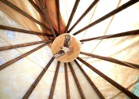 Yellowstone Tipis 2