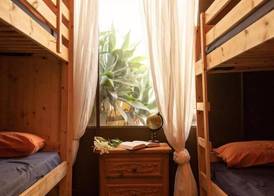 Los Amigos Nest Hostel 3