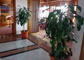 Hotel Horta 2