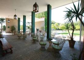 Lantana Garden 3