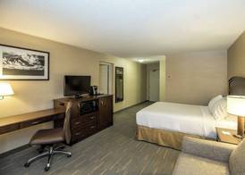 Holiday Inn LETHBRIDGE by IHG 3