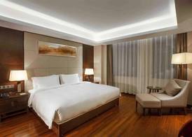 Ramada Plaza Xian South 5