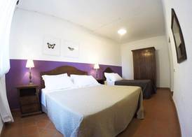 Agriturismo Boschi di Montecalvi 3