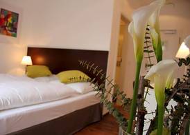 Hotel Restaurant Schwan 4