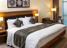 Premier Sofia Airport Hotel 5