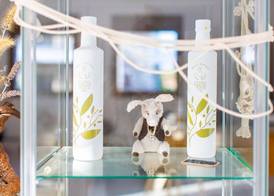 WHITE DONKEY BOUTIQUE Hotel 2