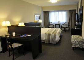 Plaza Real Suites Hotel 5