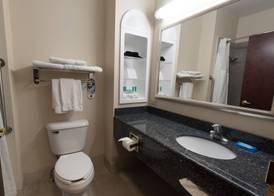 Holiday Inn Express & Suites NORTH EAST (ERIE I-90 EXIT 41) by IHG 3