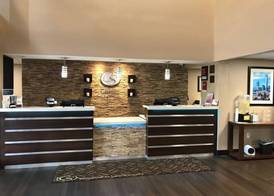 Comfort Suites Northside Hospital Gwinnett 3