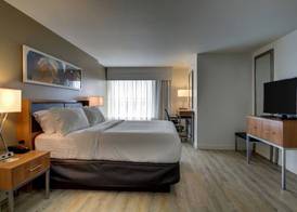 Holiday Inn & Suites PEORIA AT GRAND PRAIRIE by IHG 3