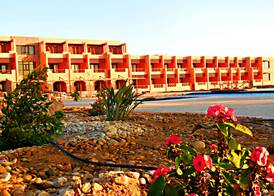 Viva Blue Resort and Diving Sharm El Naga (Adults Only) 2