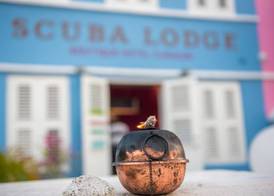 Scuba Lodge City Beach 2