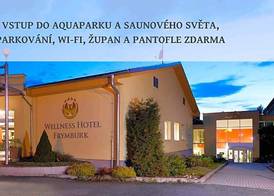 Wellness Hotel Frymburk 2