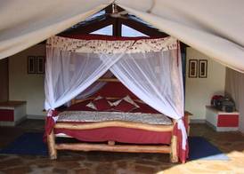 Man Eaters Lodge 4