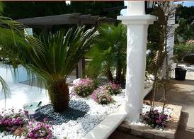 Apartamentos Paraiso De Los Pinos 5