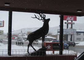 Mountain Star Inn Cedar City 3