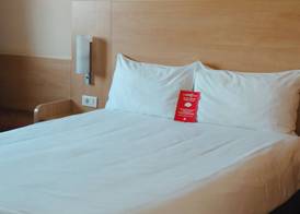 ibis Adana 2