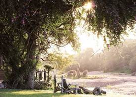 Motswari Private Game Reserve by NEWMARK 2