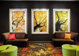 Sheraton Springfield Monarch Place Hotel 3