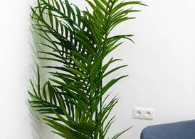 Apartamentos Toboso Plaza 3
