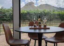 Casitas at Los Milics Vineyards 2