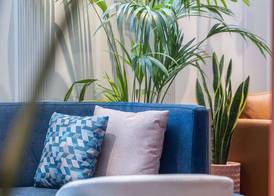 Holiday Inn Express & Suites LISBON - PRÍNCIPE REAL by IHG 4