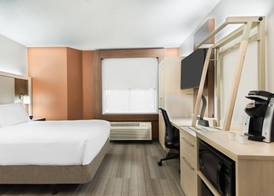 Holiday Inn Express & Suites NEAREST UNIVERSAL ORLANDO by IHG 5