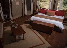 Elephant Bedroom Camp 5