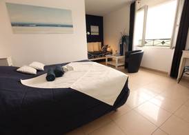 Chambres d'hôtes - Villa CARPE DIEM TOLOSA 4