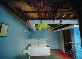 Red Earth Kabini 2