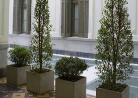 Esplendor by Wyndham Savoy Rosario 5