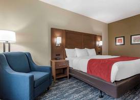 Comfort Inn & Suites Downtown near University 4