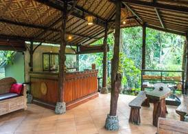 Bali Jungle Resort 2