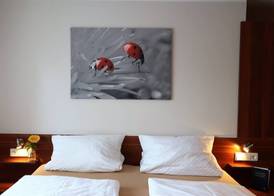 Hotel Klosterbräustuben 3